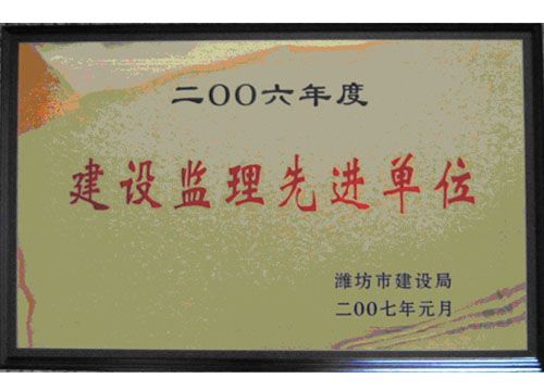 点击查看详细信息<br>标题：2006年度建设监理先进单位 阅读次数：4646