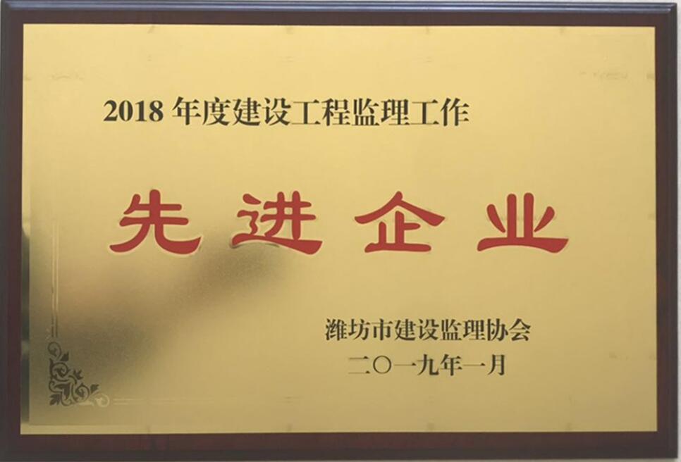 点击查看详细信息<br>标题：2018年度先进监理企业 阅读次数：2532